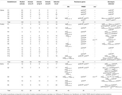 Transferable Resistance to Highest Priority Critically Important Antibiotics for Human Health in Escherichia coli Strains Obtained From Livestock Feces in Uruguay